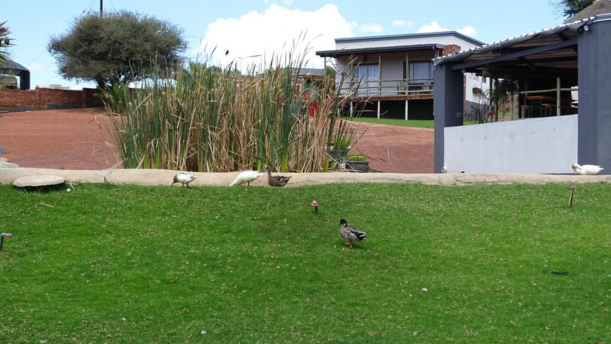 Eden Chalets Windhoek Buitenkant foto
